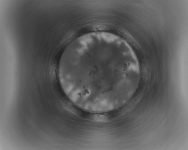 X0000112350169200909101050