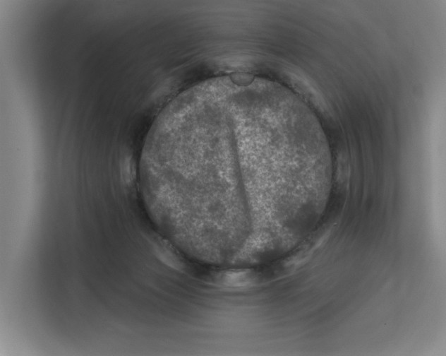 X0000112350173200909101050