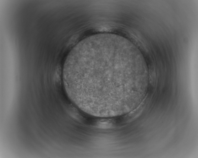 X0000112350175200909101050