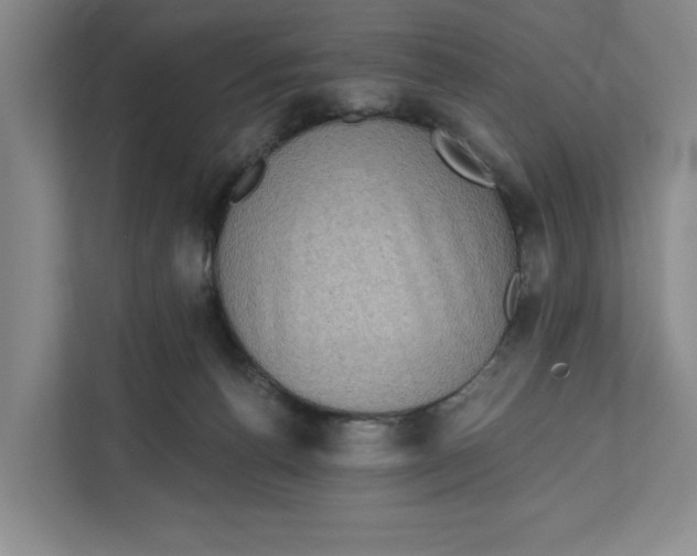 X0000112350176200909101050