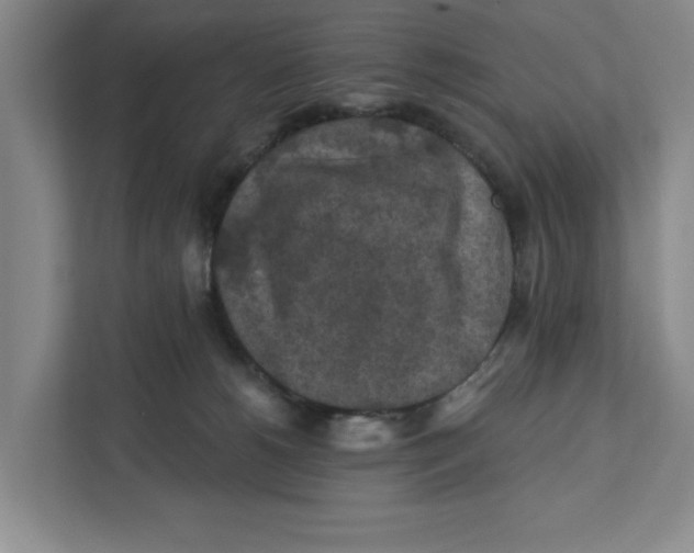 X0000112350180200909101050