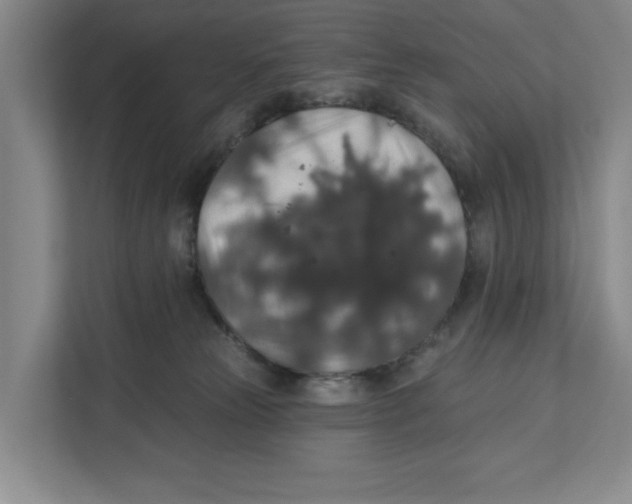 X0000112350181200909101050