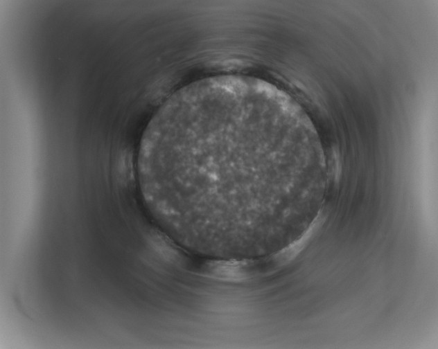 X0000112350182200909101050