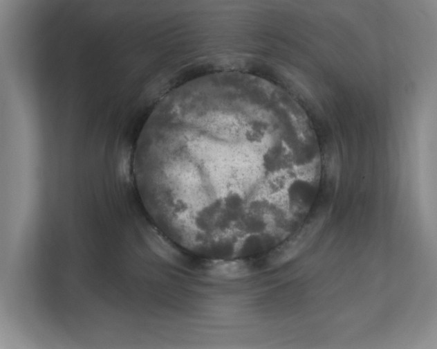 X0000112350185200909101050