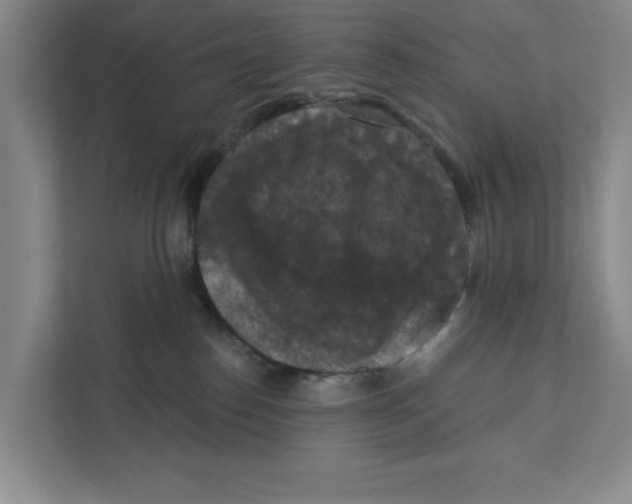 X0000112350186200909101050