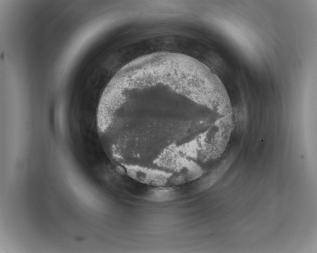 X0000112350189200909101050