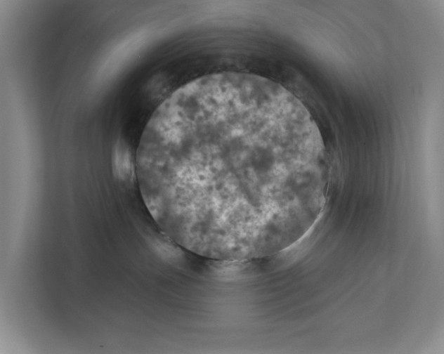 X0000112350191200909101050