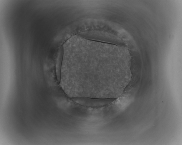 X0000112350192200909101050