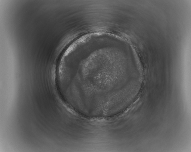 X0000112350194200909101050