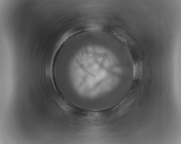 X0000112350195200909101050