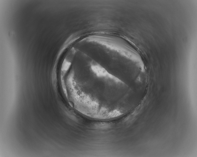 X0000112350198200909101050