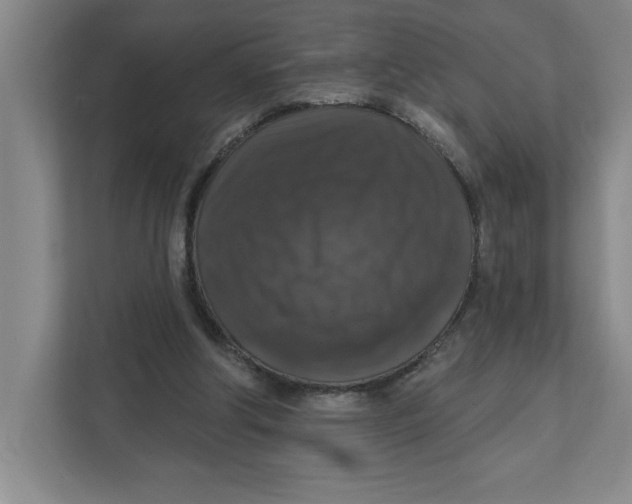 X0000112350202200909101050