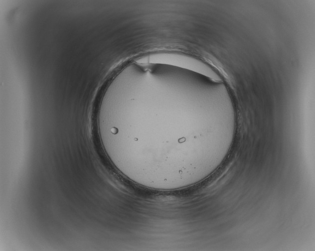 X0000112350203200909101050