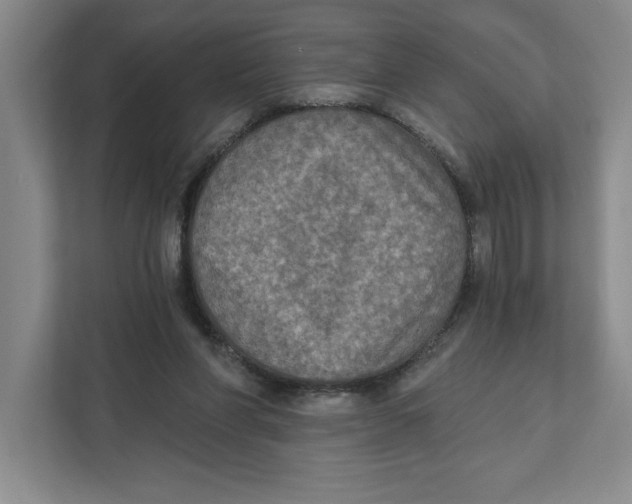 X0000112350206200909101050