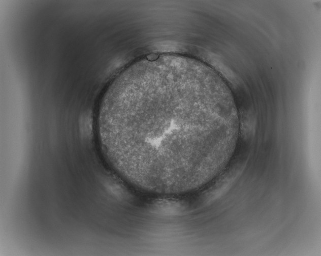 X0000112350207200909101050