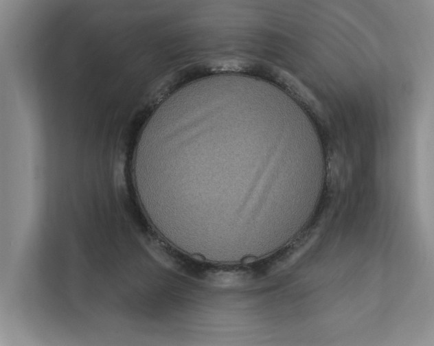 X0000112350209200909101050