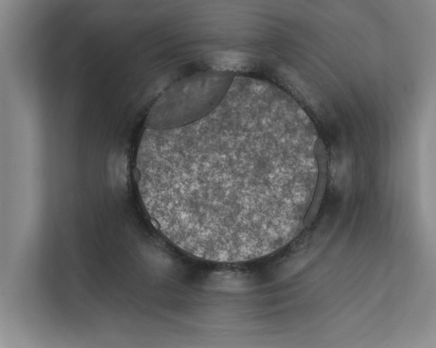 X0000112350211200909101050