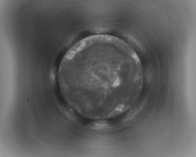 X0000112350214200909101050