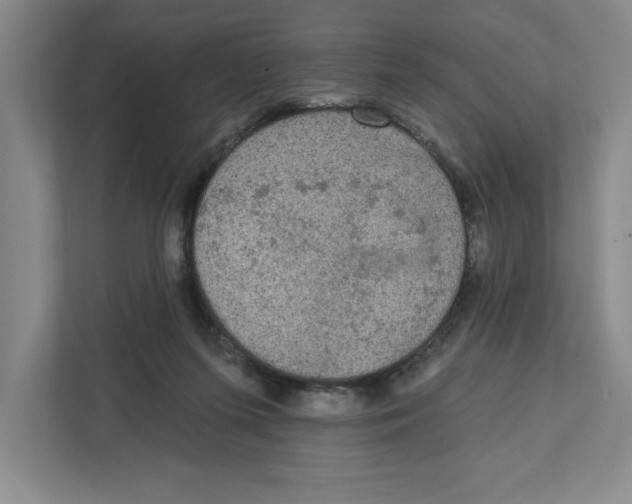 X0000112350215200909101050