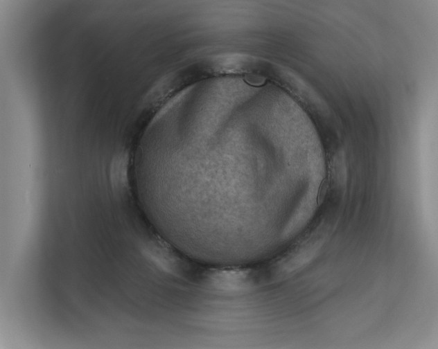 X0000112350217200909101049