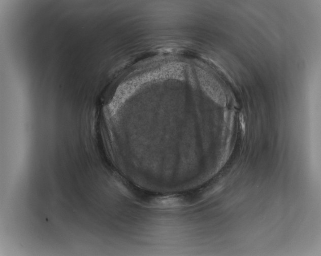 X0000112350219200909101049