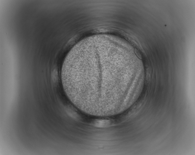 X0000112350220200909101049