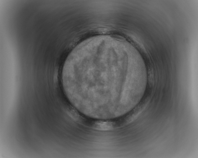 X0000112350221200909101049