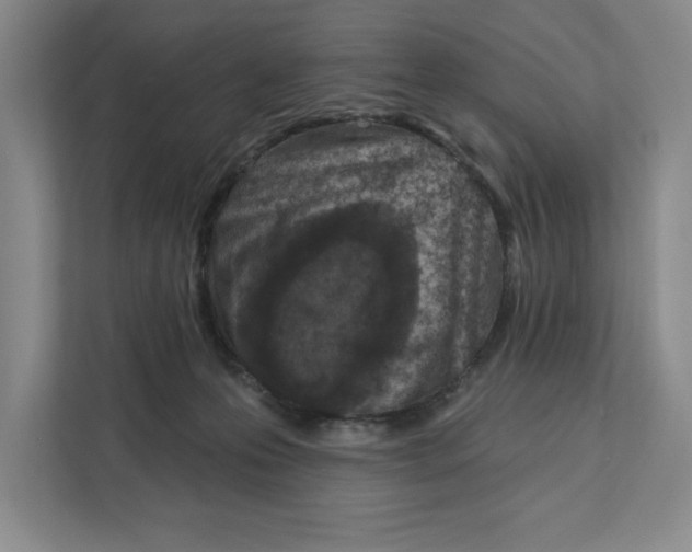 X0000112350223200909101049