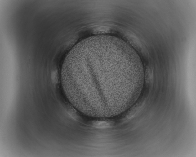 X0000112350224200909101049