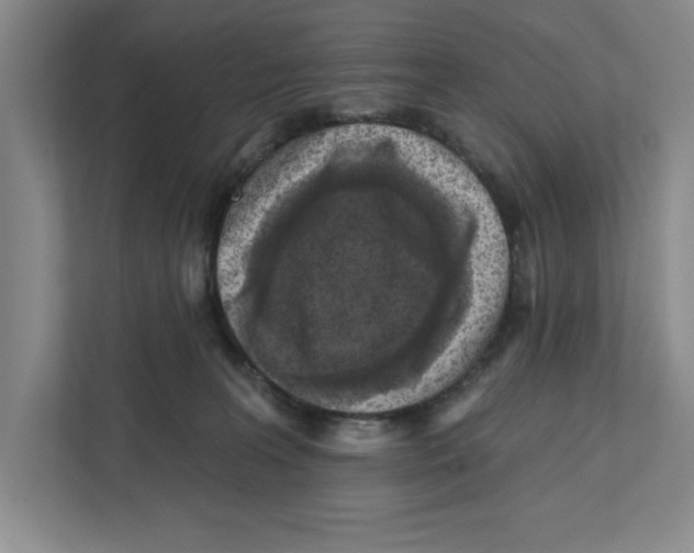 X0000112350227200909101049