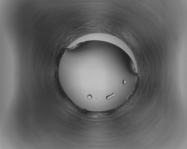 X0000112350229200909101049