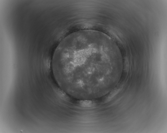 X0000112350230200909101049