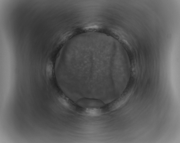 X0000112350231200909101049