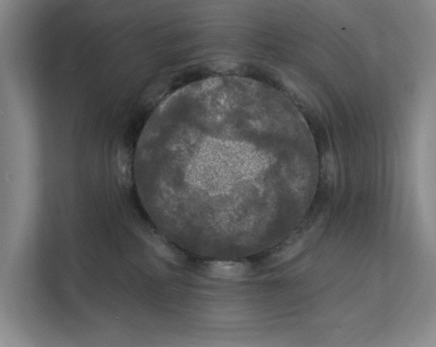 X0000112350234200909101049