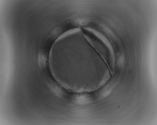 X0000112350235200909101049