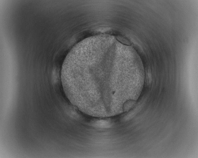 X0000112350236200909101049