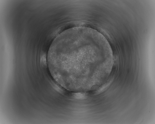 X0000112350238200909101049