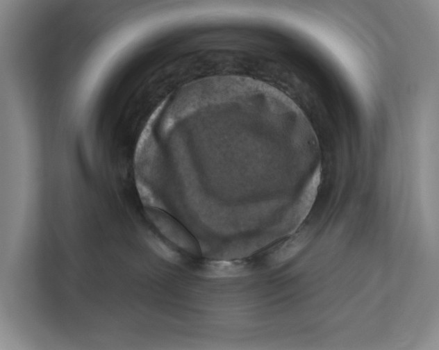 X0000112350239200909101049