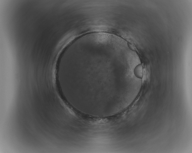 X0000112350243200909101049