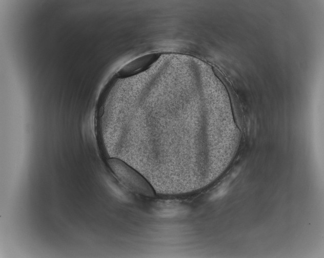 X0000112350244200909101049