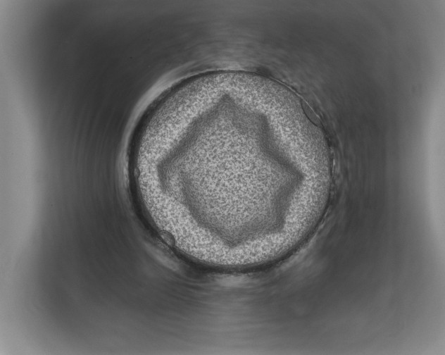 X0000112350246200909101049