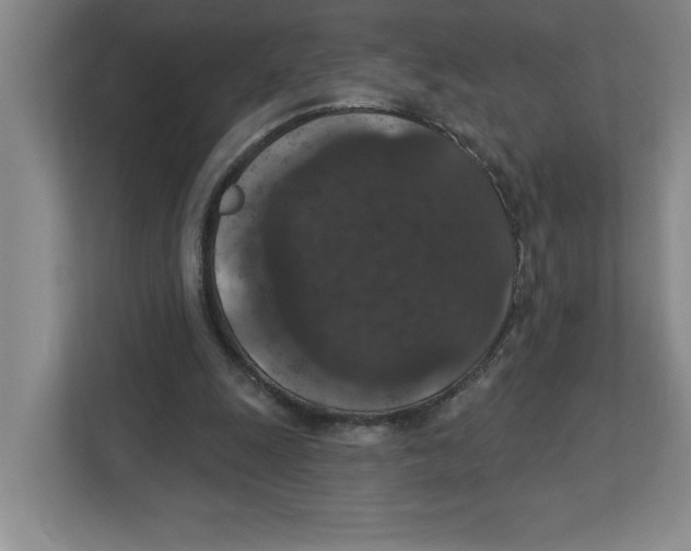 X0000112350247200909101049