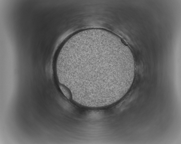 X0000112350248200909101049