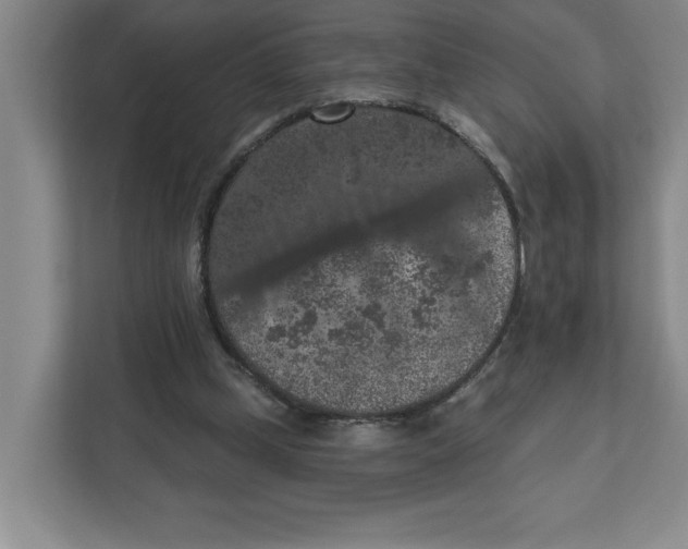 X0000112350249200909101049