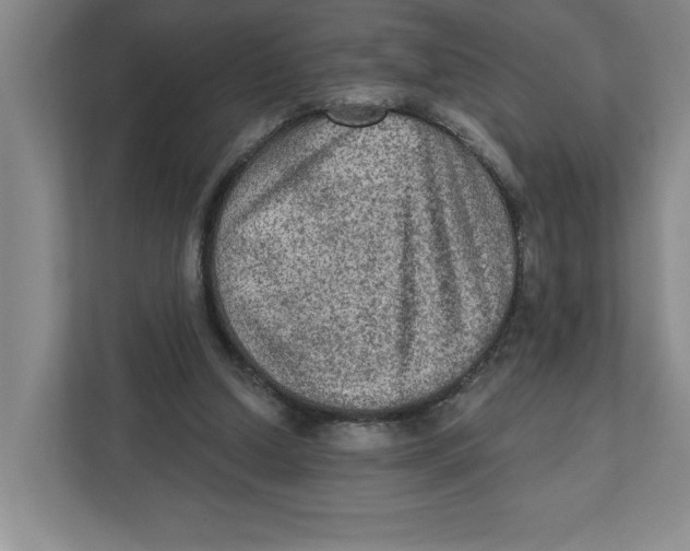 X0000112350250200909101049