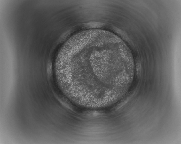 X0000112350254200909101049