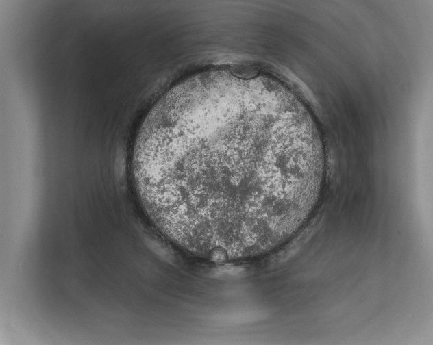 X0000112350257200909101049