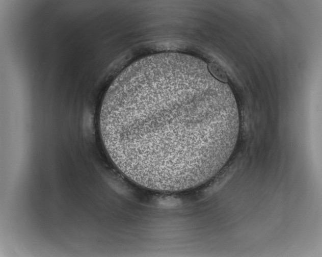 X0000112350258200909101049