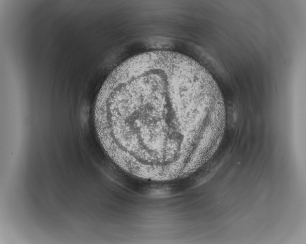 X0000112350263200909101049