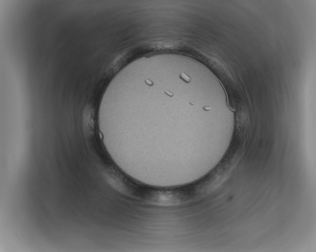 X0000112350264200909101049